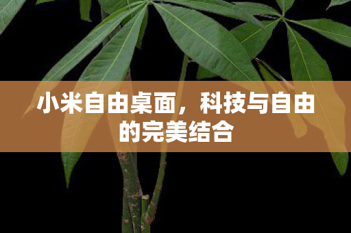 科技与自由的完美结合图片