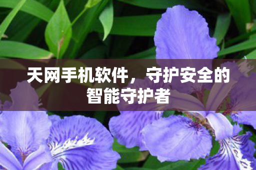守护安全的智能守护者图片
