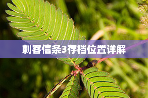 刺客信条3存档位置详解图片