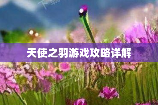 天使之羽游戏攻略详解图片