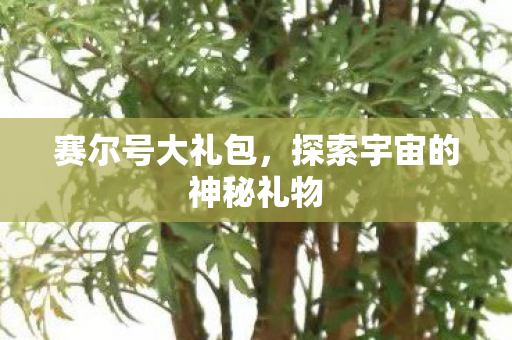 探索宇宙的神秘礼物图片