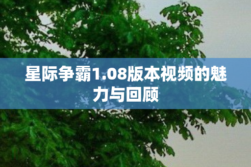 08版本视频的魅力与回顾图片
