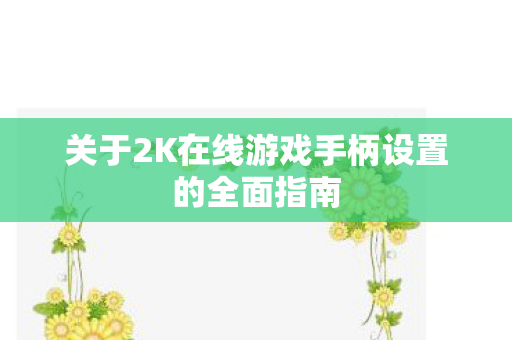 关于2K在线游戏手柄设置的全面指南图片