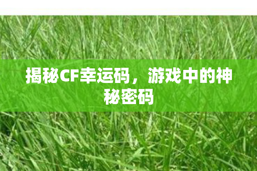 游戏中的神秘密码图片