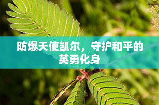 守护和平的英勇化身图片