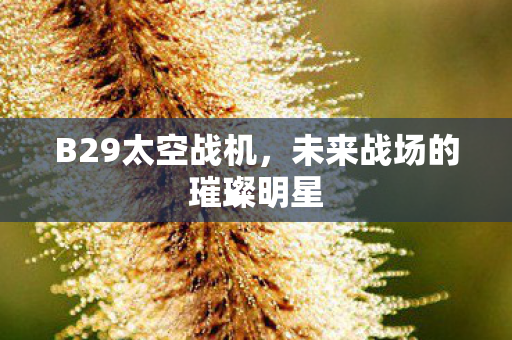 未来战场的璀璨明星图片