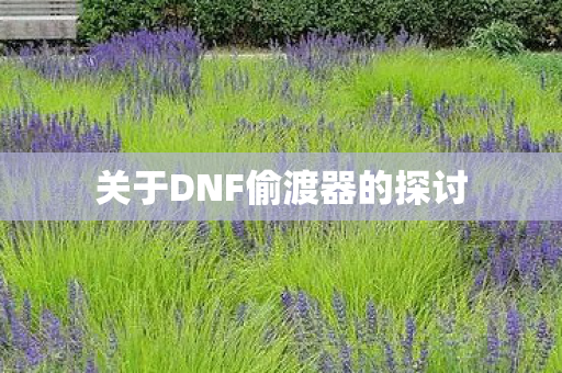 关于DNF偷渡器的探讨图片