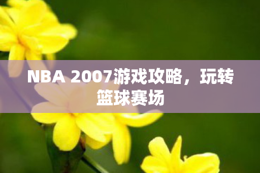 NBA 2007游戏攻略图片