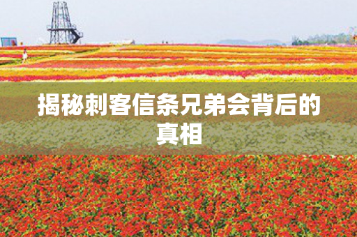 揭秘刺客信条兄弟会背后的真相图片
