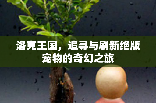 追寻与刷新绝版宠物的奇幻之旅图片
