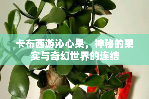 神秘的果实与奇幻世界的连结图片