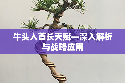 深入解析与战略应用图片