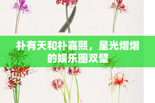 星光熠熠的娱乐圈双璧图片