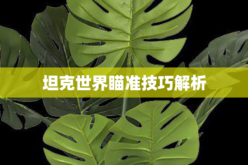 坦克世界瞄准技巧解析图片