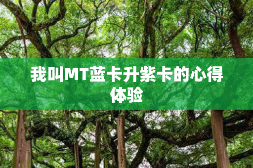 我叫MT蓝卡升紫卡的心得体验图片