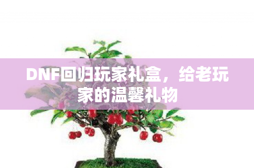 DNF回归玩家礼盒图片