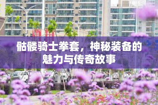 神秘装备的魅力与传奇故事图片