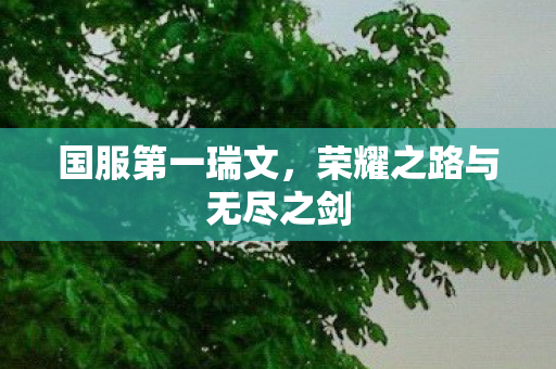 荣耀之路与无尽之剑图片