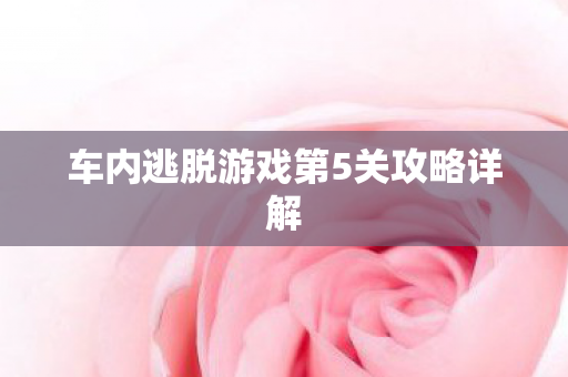 车内逃脱游戏第5关攻略详解图片