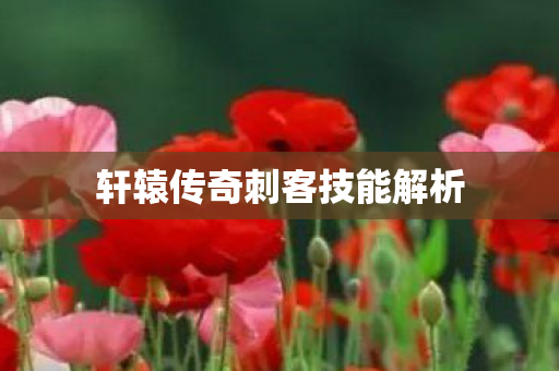 轩辕传奇刺客技能解析图片