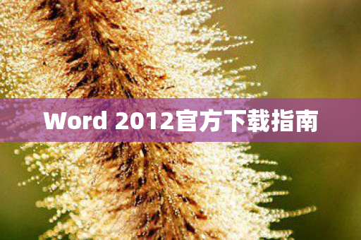 Word 2012官方下载指南图片