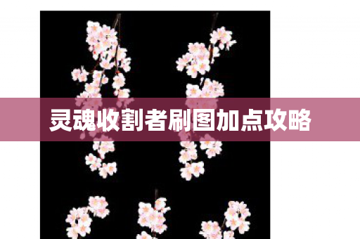 灵魂收割者刷图加点攻略图片