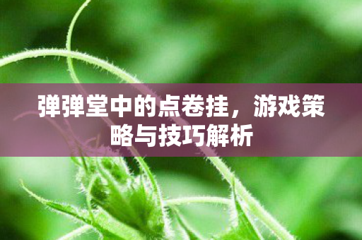 游戏策略与技巧解析图片