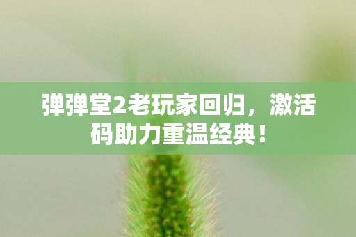 弹弹堂2老玩家回归图片