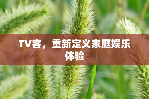 重新定义家庭娱乐体验图片