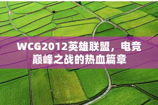 WCG2012英雄联盟图片