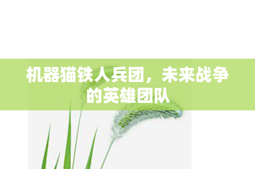 未来战争的英雄团队图片