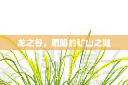 塌陷的矿山之谜图片