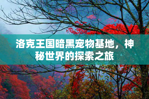 洛克王国暗黑宠物基地图片