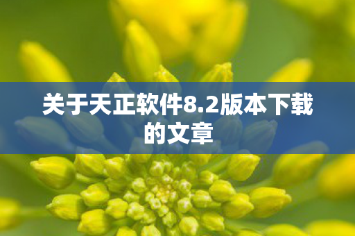 2版本下载的文章图片