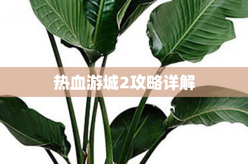 热血游城2攻略详解图片