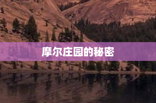 摩尔庄园的秘密图片