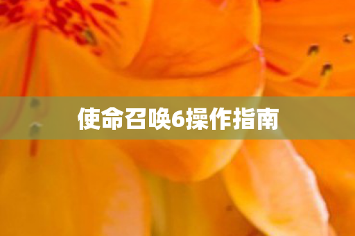使命召唤6操作指南图片