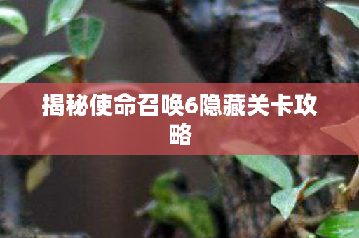 揭秘使命召唤6隐藏关卡攻略图片