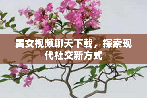 探索现代社交新方式图片
