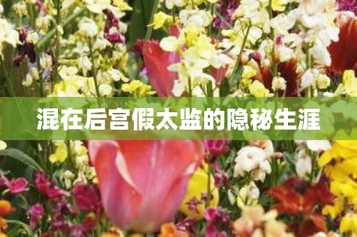 混在后宫假太监的隐秘生涯图片