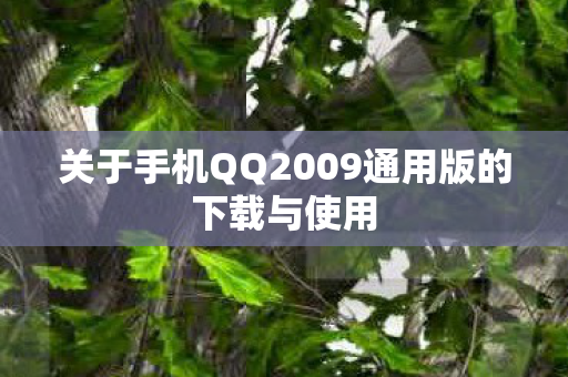 关于手机QQ2009通用版的下载与使用图片