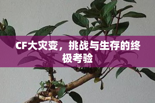 挑战与生存的终极考验图片