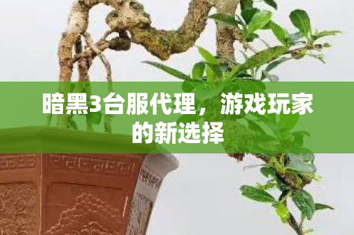 游戏玩家的新选择图片