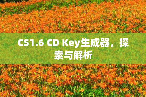 6 CD Key生成器图片