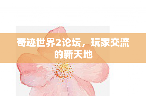 玩家交流的新天地图片