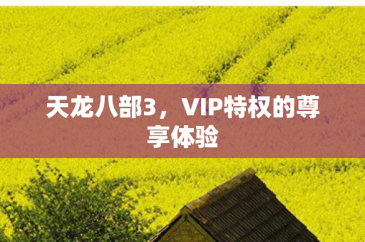 VIP特权的尊享体验图片