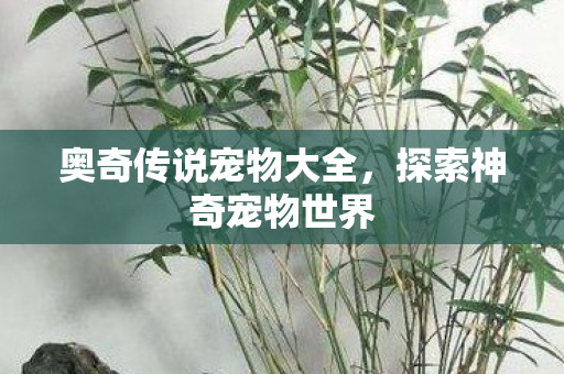 奥奇传说宠物大全图片
