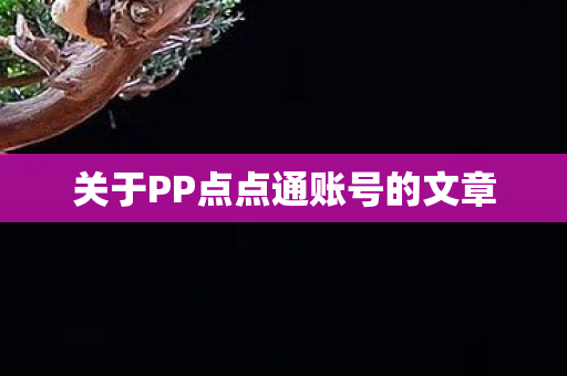 关于PP点点通账号的文章图片
