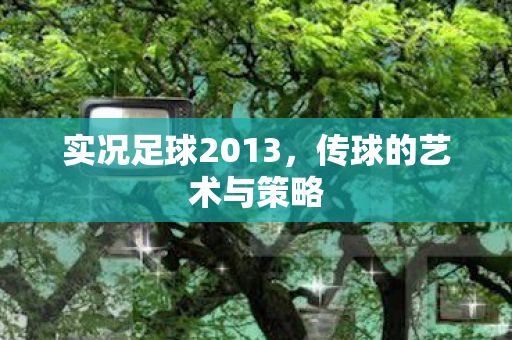 实况足球2013图片