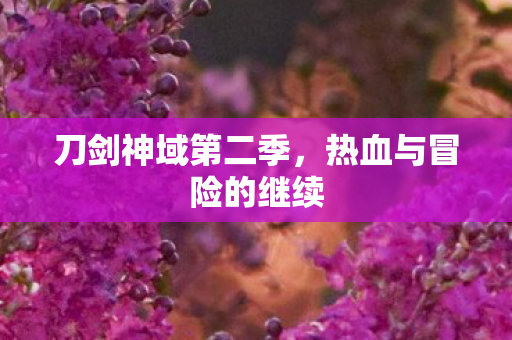 热血与冒险的继续图片